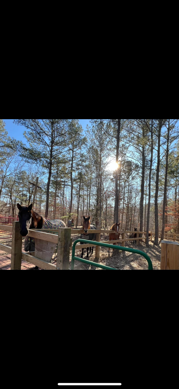 Oak Hill Farm arena